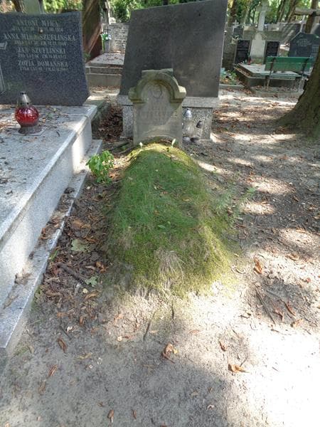 Zdjęcie grobu Józefa Dutkiewicz (1)