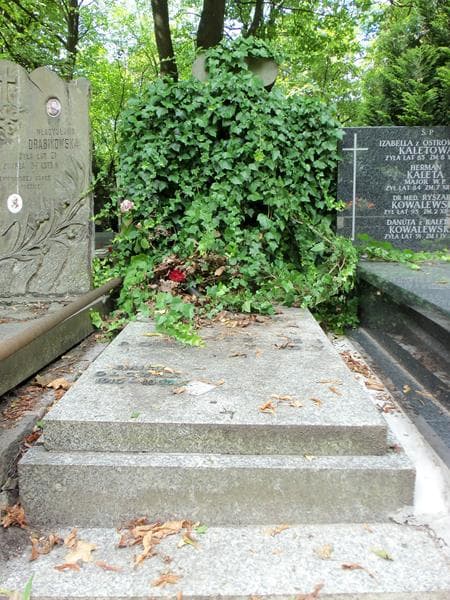 Zdjęcie grobu: Emilia Olczak