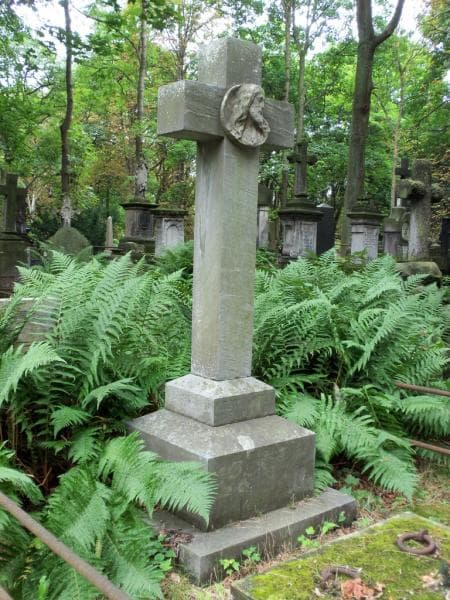 Zdjęcie grobu Alojzy Chludziński (2)