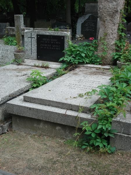 Zdjęcie grobu Mieczysław Gołębiowski (1)
