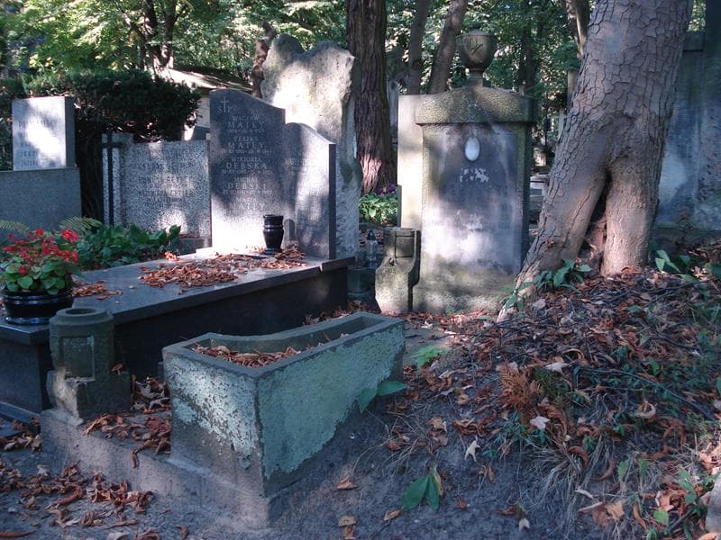 Zdjęcie grobu Zygmunt Ichnowski (1)