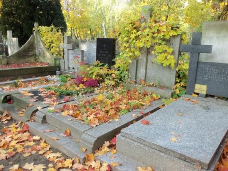 Zdjęcie grobu Kazimierz Włodarski (1)