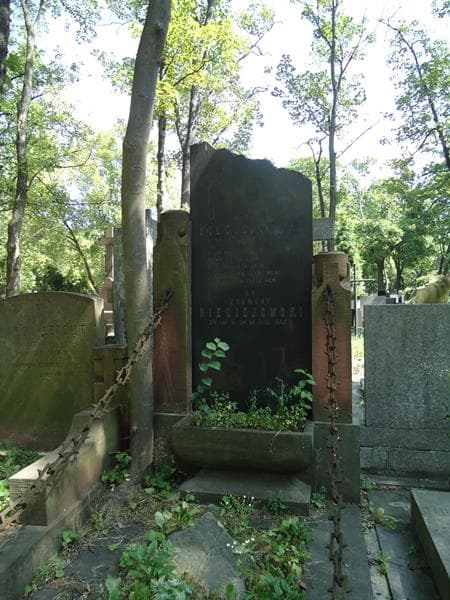 Zdjęcie grobu Zygmunt Nieciejowski (2)