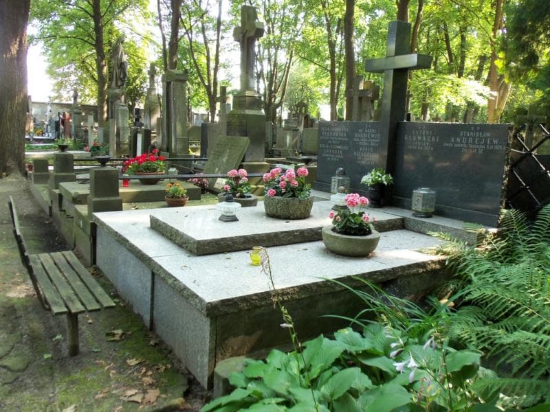 Zdjęcie grobu Karol Anasiewicz (1)