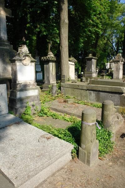 Zdjęcie grobu Helena Nalepińska (1)