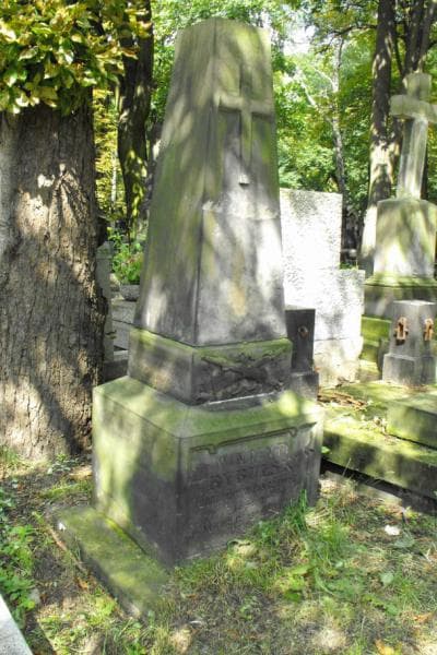Zdjęcie grobu Wincenty Trybulski (2)