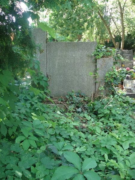 Zdjęcie grobu Halina Lenkiewicz (2)