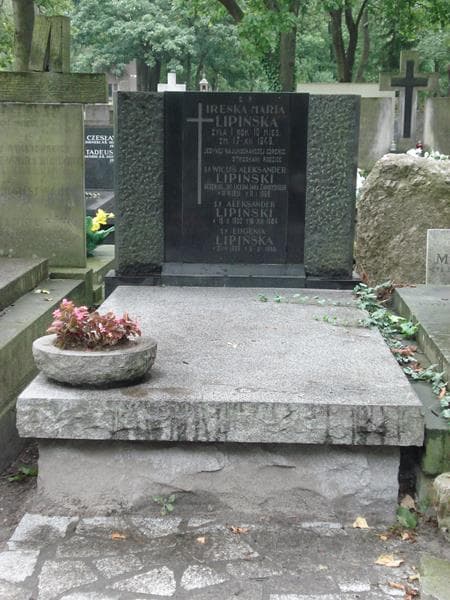 Zdjęcie grobu: Aleksander Lipiński