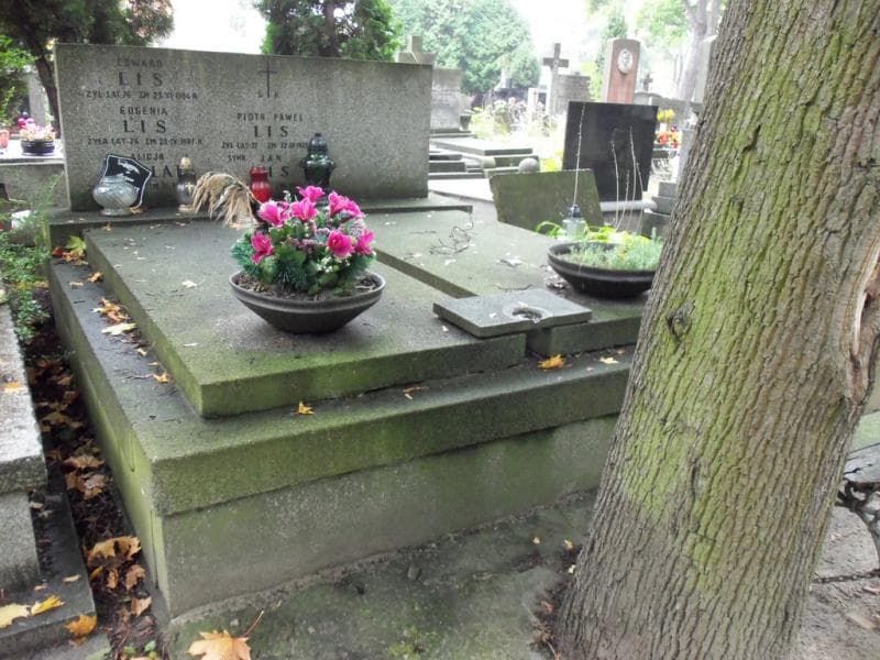 Zdjęcie grobu Piotr Paweł Lis (1)