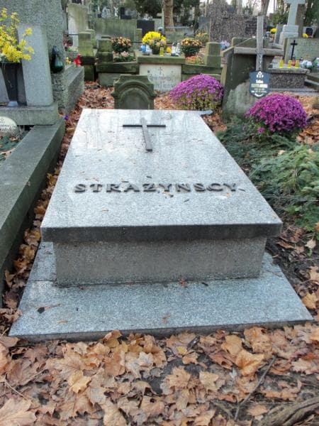 Zdjęcie grobu: Strażyńscy