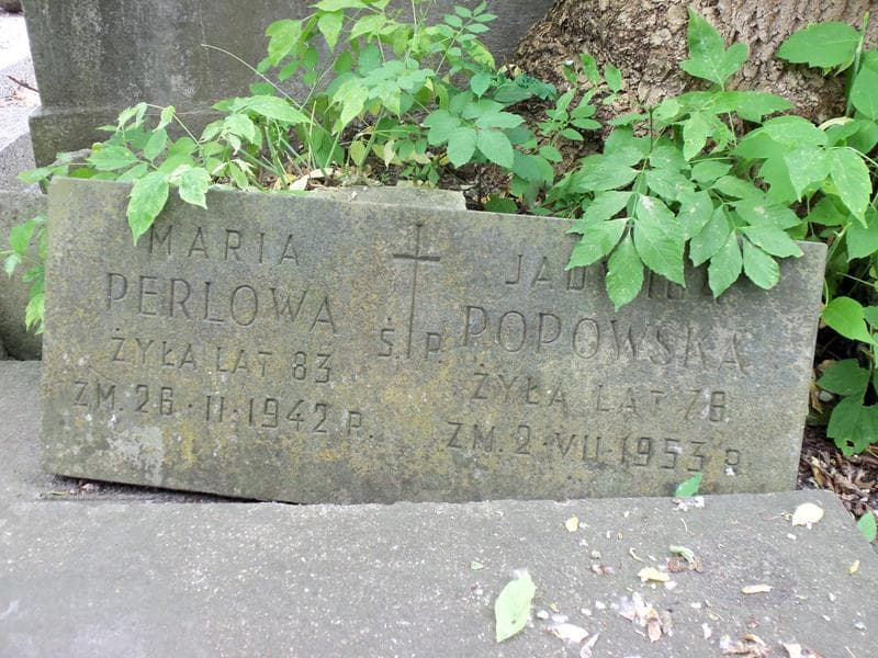 Zdjęcie grobu Maria Perlowa (2)
