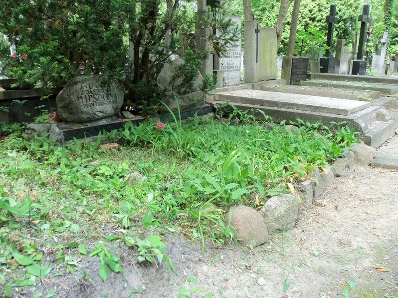 Zdjęcie grobu Samuel Józef Lipszyc (1)