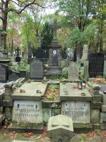 Zdjęcie grobu: Bronisława Habrowska
