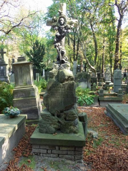 Zdjęcie grobu Franciszek Jan Kuczyński (2)