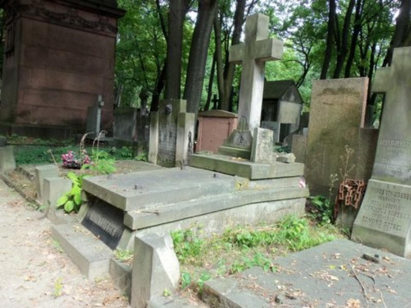 Zdjęcie grobu Zofia Alexandrowicz (1)