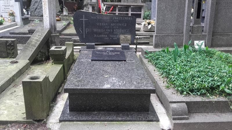 Zdjęcie grobu Michalina Zbrzeźniak (1)