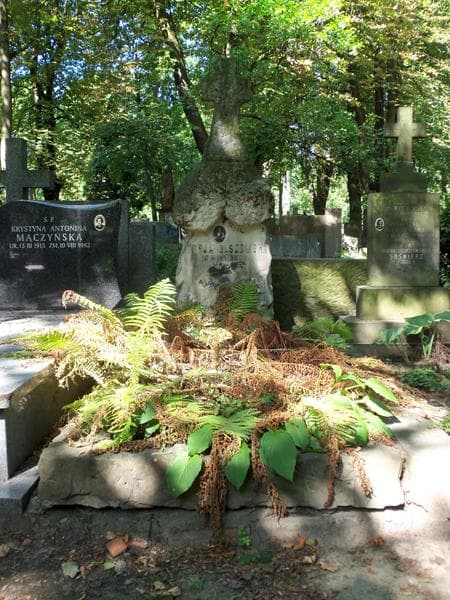 Zdjęcie grobu: Zofja Olszewska