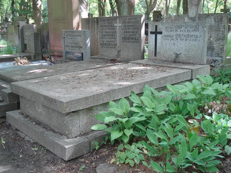Zdjęcie grobu Józef Stępniewski (1)