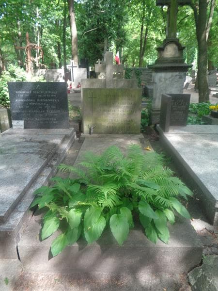 Zdjęcie grobu Józefa Gołąb (1)