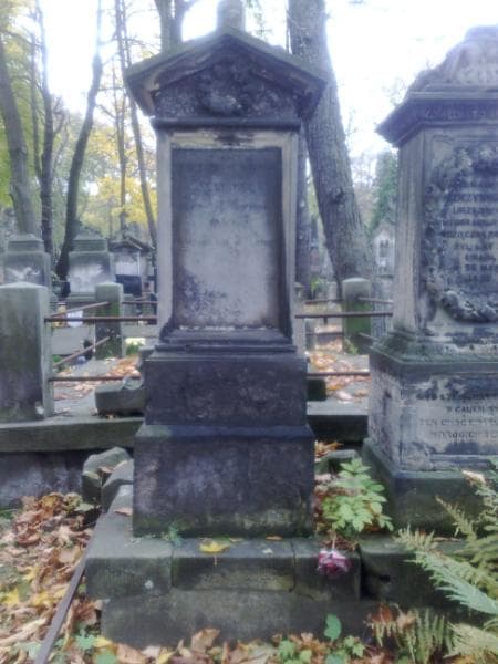 Zdjęcie grobu Ignacy Kuczyński (1)