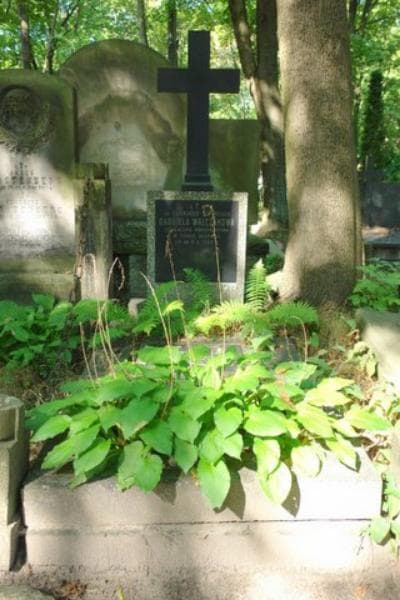 Zdjęcie grobu: Henryk Walczak