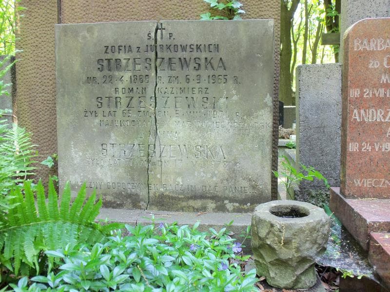 Zdjęcie grobu Zofia Strzeszewska (2)