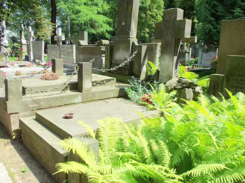 Zdjęcie grobu Mieczysław Ignacy Ogrodziński (1)