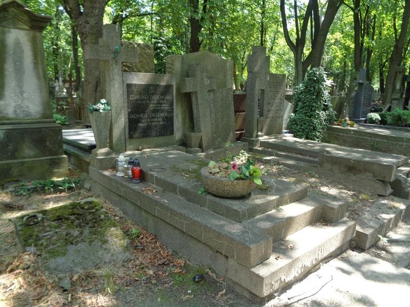 Zdjęcie grobu: Edmund Drzewoski