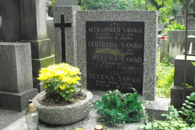 Zdjęcie grobu Aleksander Sawko (1)