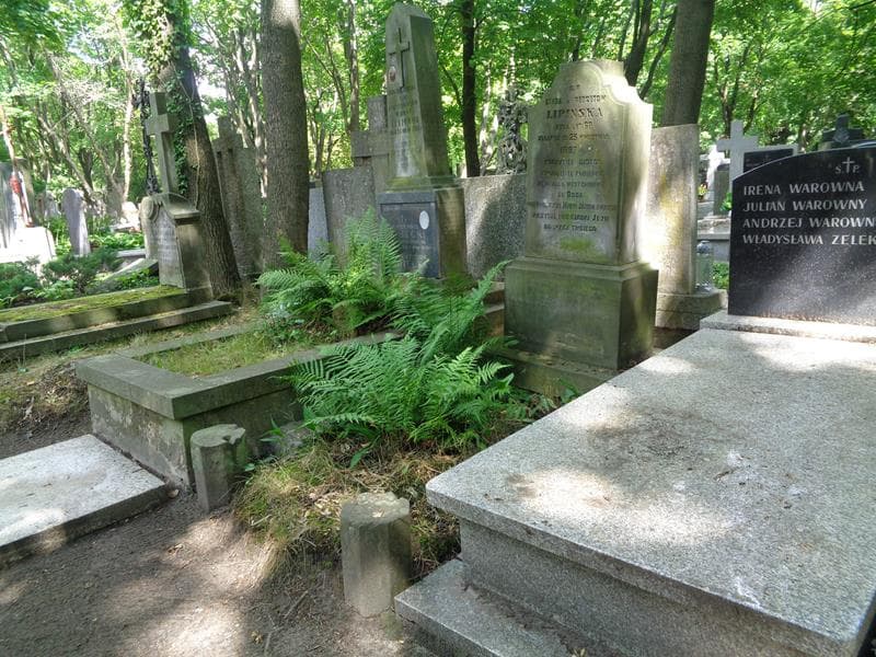 Zdjęcie grobu: Eliza Lipińska