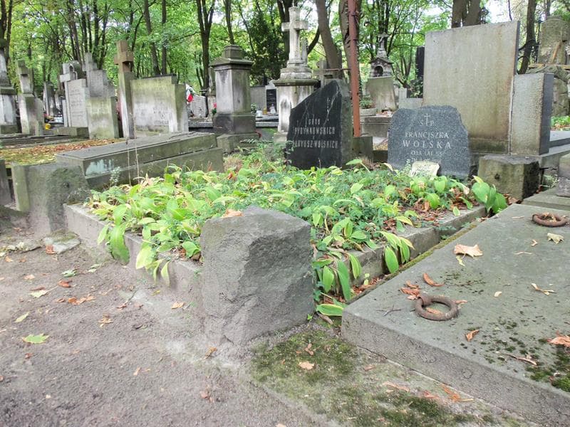 Zdjęcie grobu Franciszka Wolska (1)