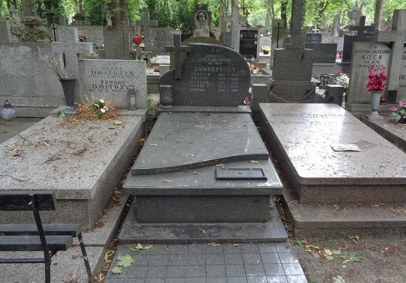 Zdjęcie grobu Andrzej Trajkowski (1)