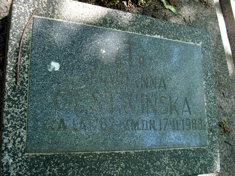 Zdjęcie grobu Marianna Gęstwińska (2)