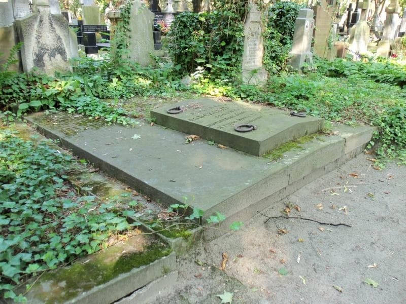 Zdjęcie grobu Bolesław Podczaszyński (1)