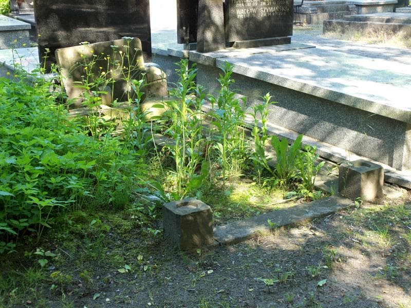 Zdjęcie grobu Józef Goławski (1)