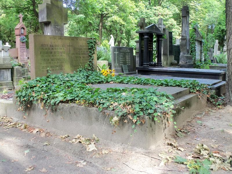 Zdjęcie grobu Wacław Dominik Albiński (1)