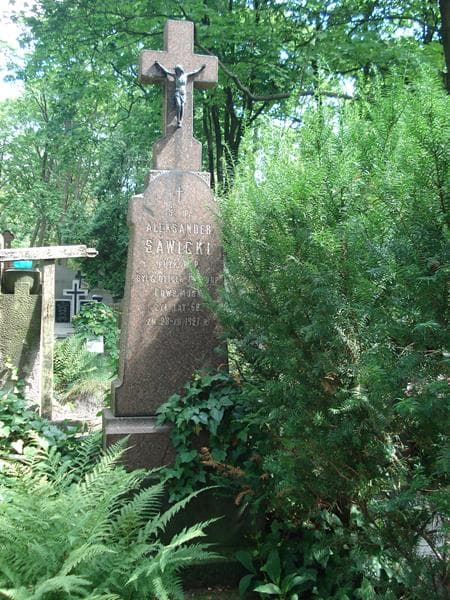 Zdjęcie grobu Aleksander Sawicki (2)