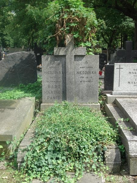 Zdjęcie grobu: Hipolit Niedziółka