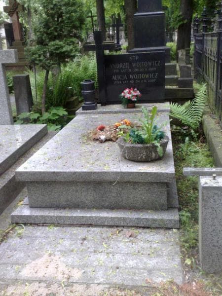 Zdjęcie grobu: Alicja Wójtowicz