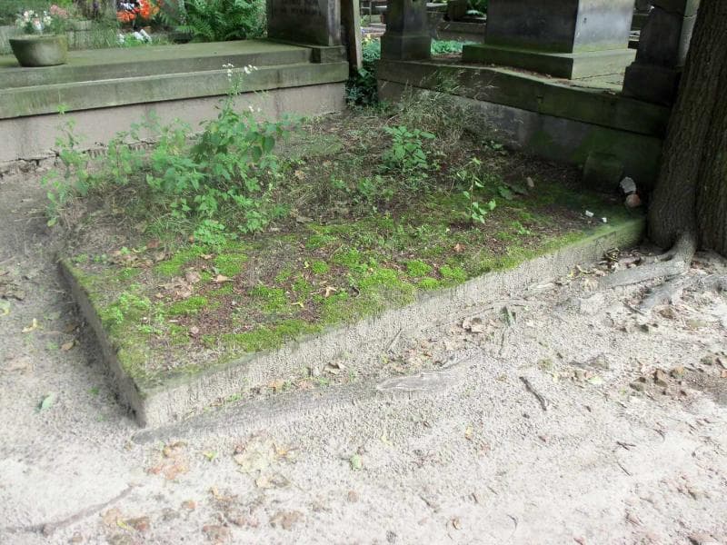 Zdjęcie grobu Bieliccy (1)