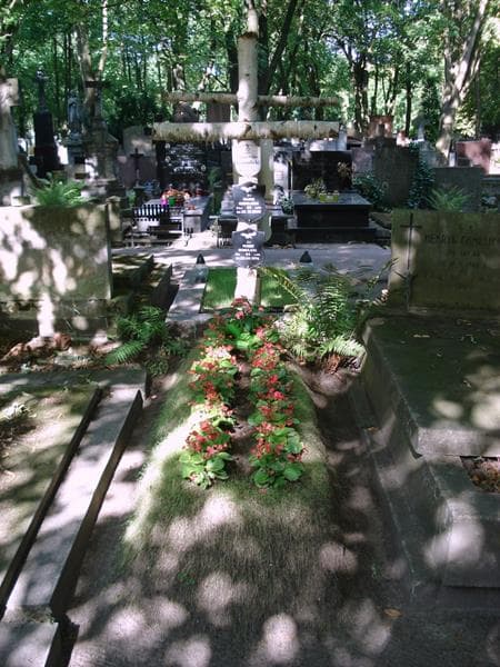 Zdjęcie grobu Juliusz Wiktor Gomulicki (1)