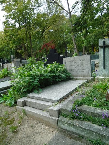 Zdjęcie grobu Janina Wolańska (1)