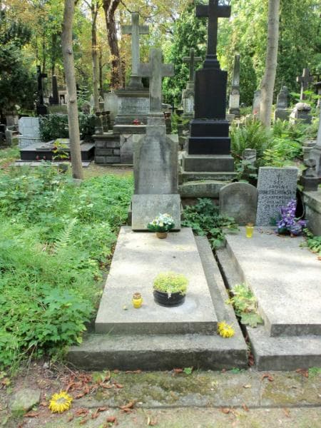 Zdjęcie grobu: Wieńczysław Niewiarowski