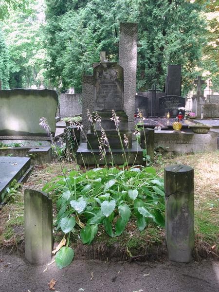 Zdjęcie grobu Józefa Michniewska (1)