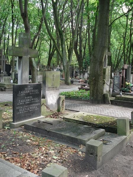 Zdjęcie grobu: Róża Kleniewska