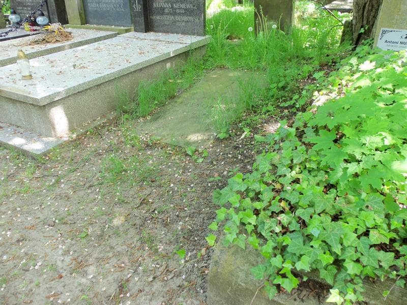 Zdjęcie grobu Marja Wrześniowska (1)