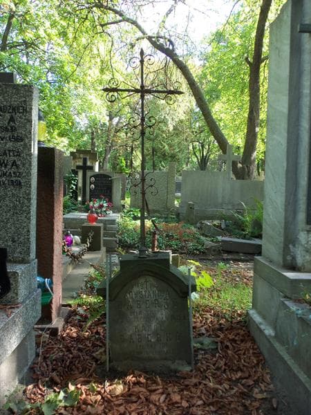 Zdjęcie grobu Karol Daberko (2)
