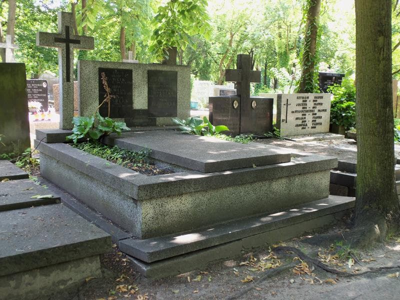Zdjęcie grobu Jadwiga Wysocka (1)