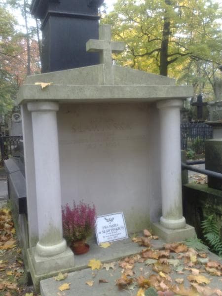 Zdjęcie grobu Irena Sławińska (1)