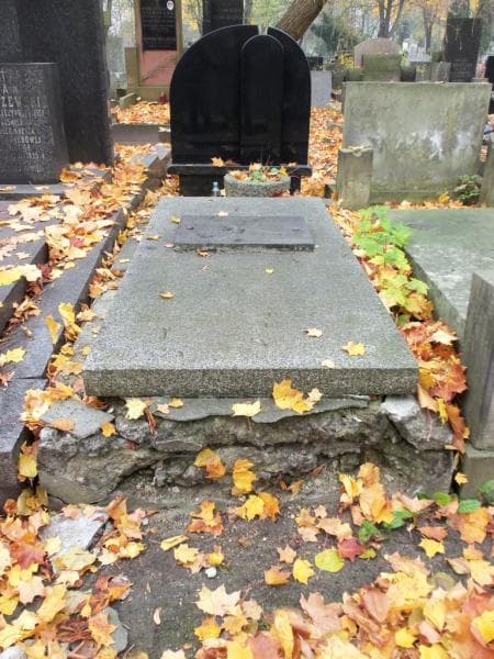 Zdjęcie grobu: Stanisław Legutko